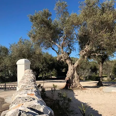 Trullo M فيلة